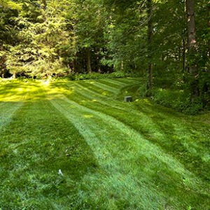 HQ Grounds Lawn Maintenance