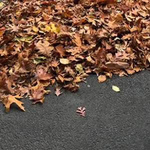 HQ Grounds Seasonal Cleanups
