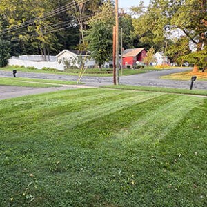 HQ Grounds Lawn Maintenance