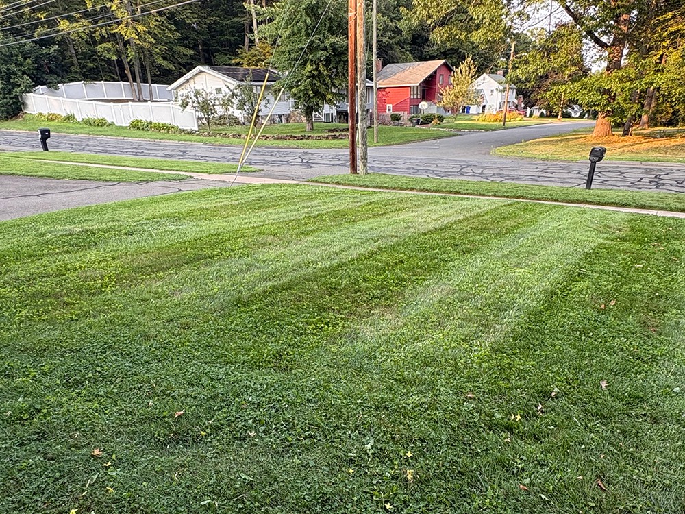 Lawn Maintenance Wethersfield, CT